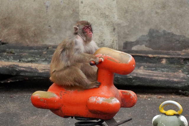 桐生が岡動物園