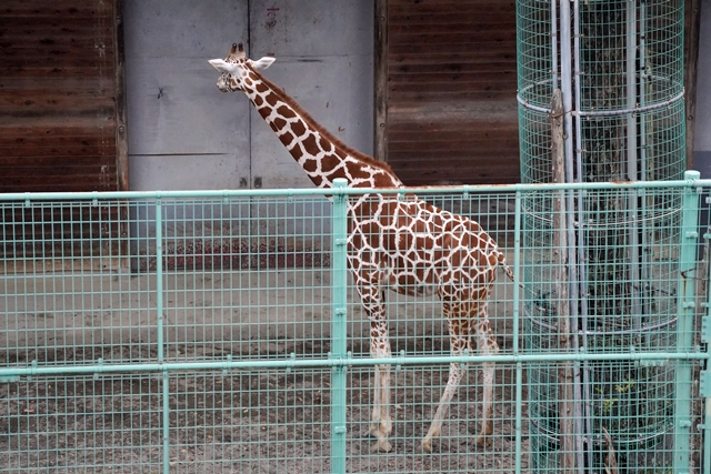 桐生が岡動物園