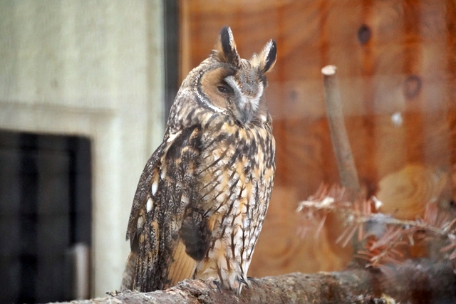 桐生が岡動物園