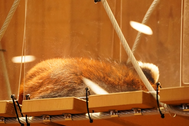 桐生が岡動物園