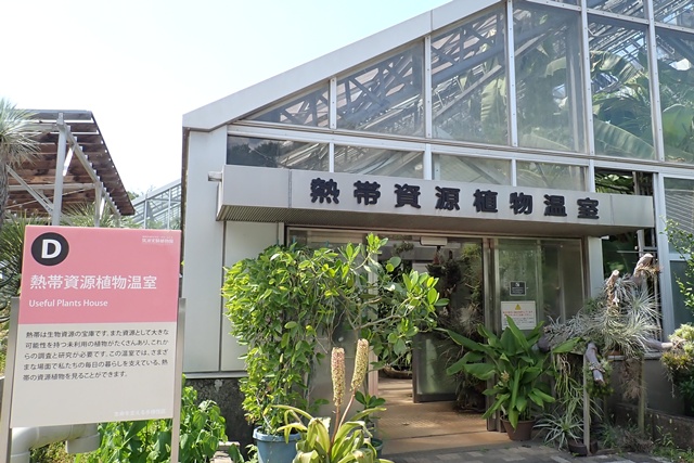 熱帯資源植物温室